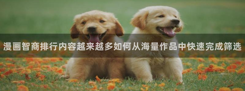 漫画岛在线免费漫画