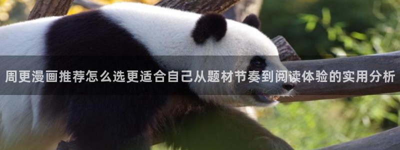 漫画岛入口导航页